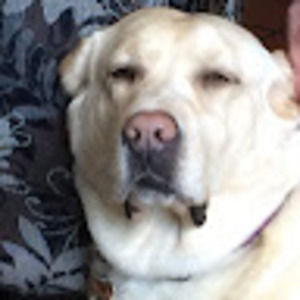 Meet your Posher, Elyse